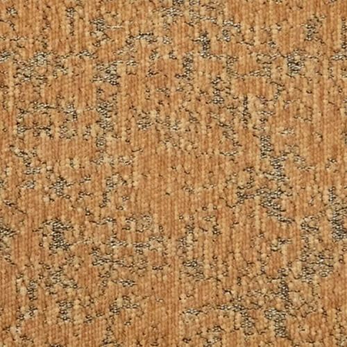 Cアルタイル／MT