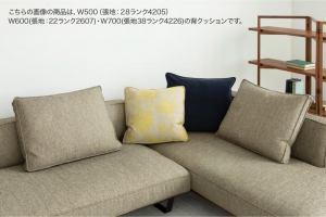 kastor-cushion-2024