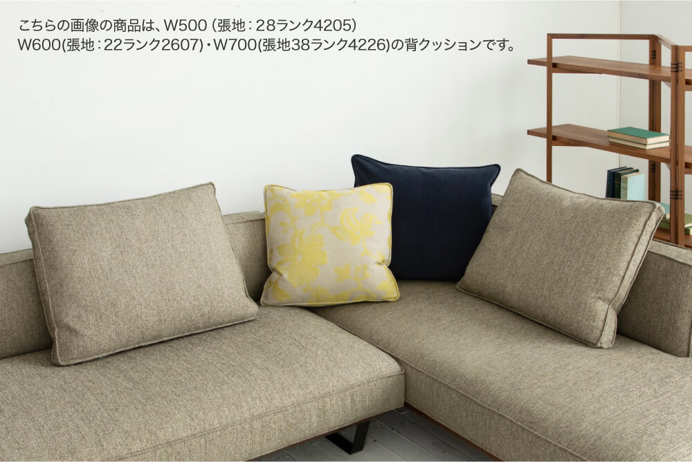 kastor-cushion-2024