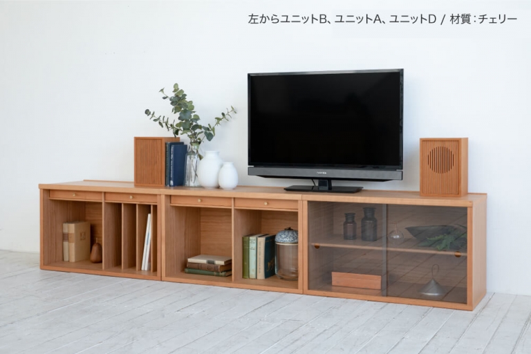 tvboard-COCCO-unit-202109